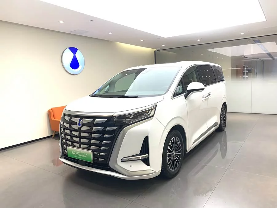 BYD D9