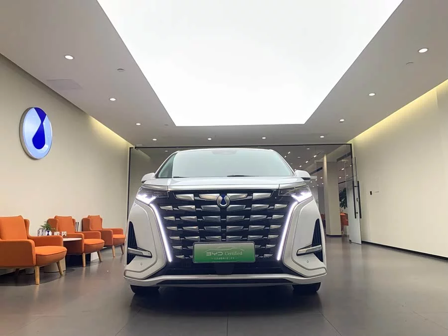 BYD D9