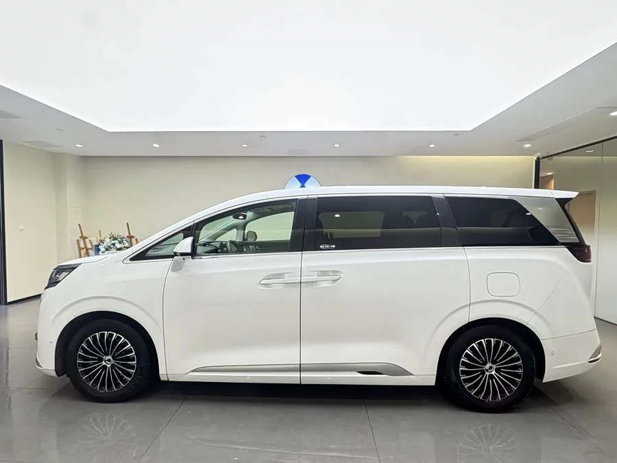 BYD D9