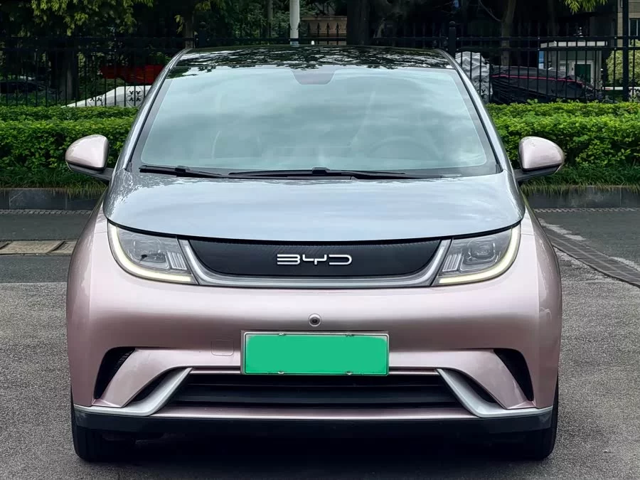 BYD Dolphin