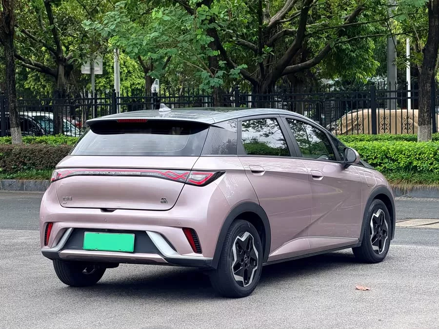 BYD Dolphin