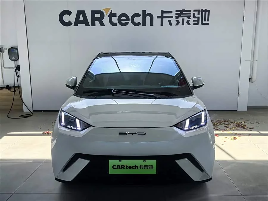 BYD Seagull