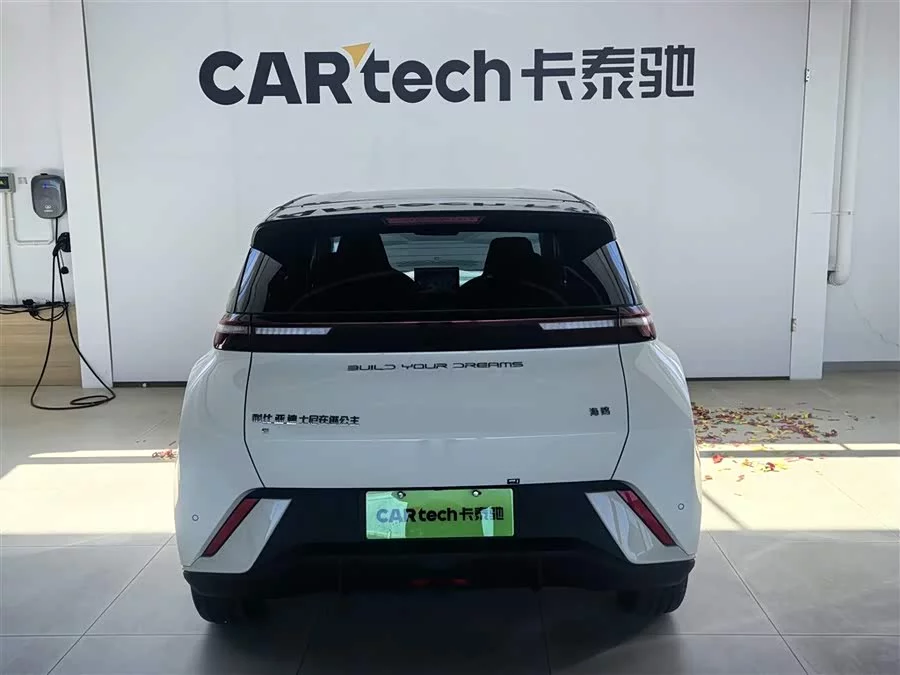 BYD Seagull