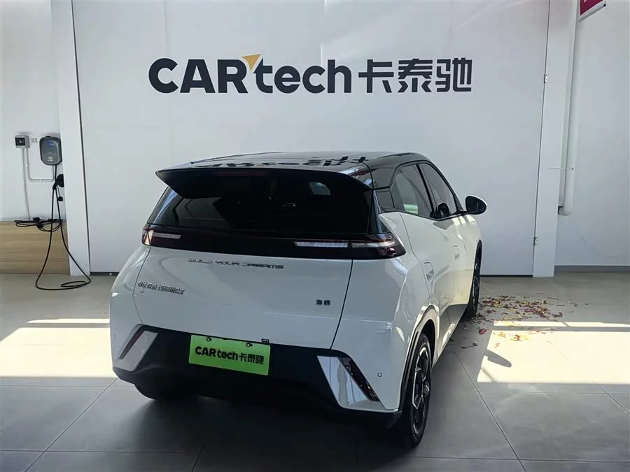 BYD Seagull