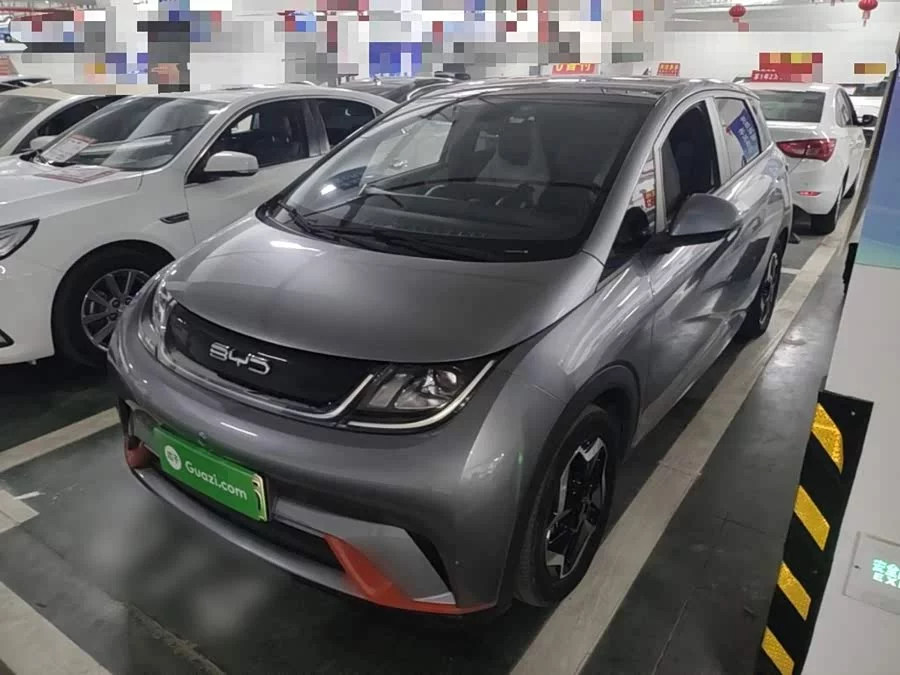 BYD Dolphin