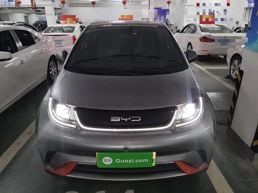 BYD Dolphin