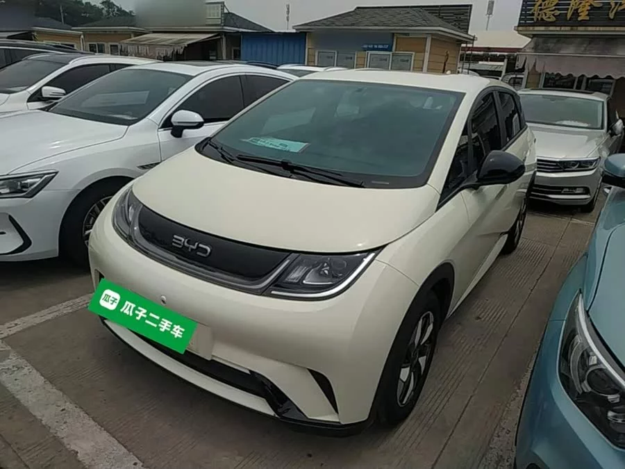BYD Dolphin