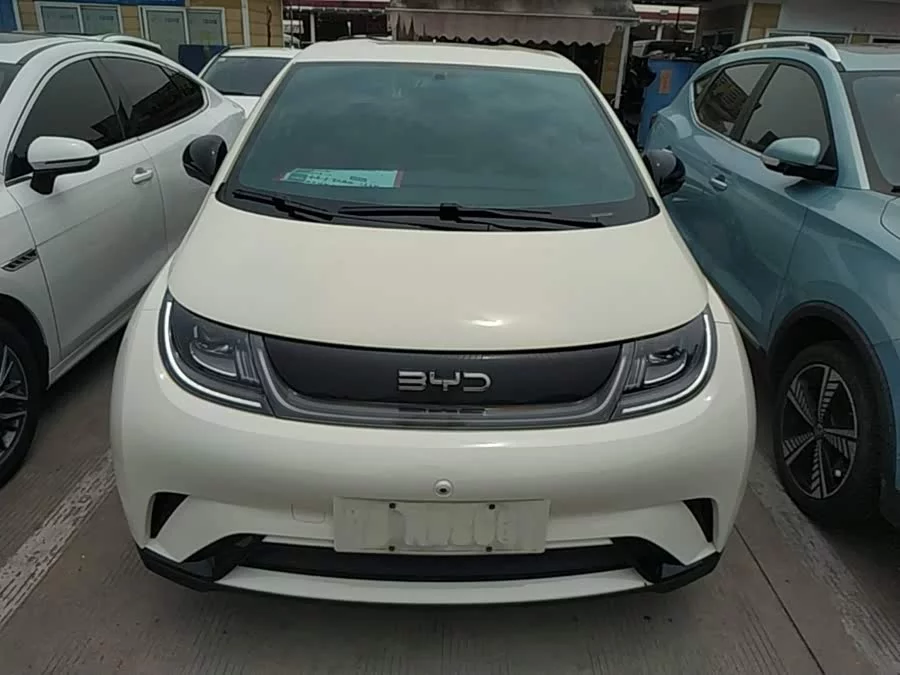 BYD Dolphin
