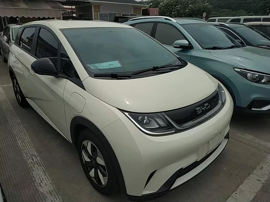 BYD Dolphin