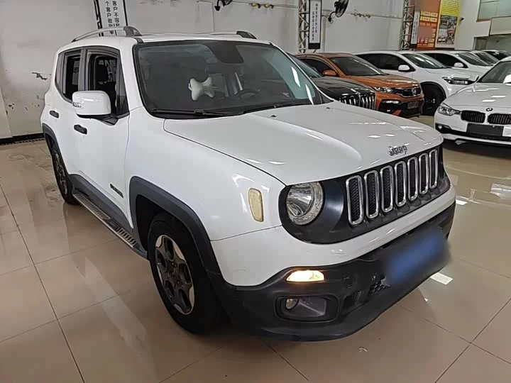 Jeep Freeman