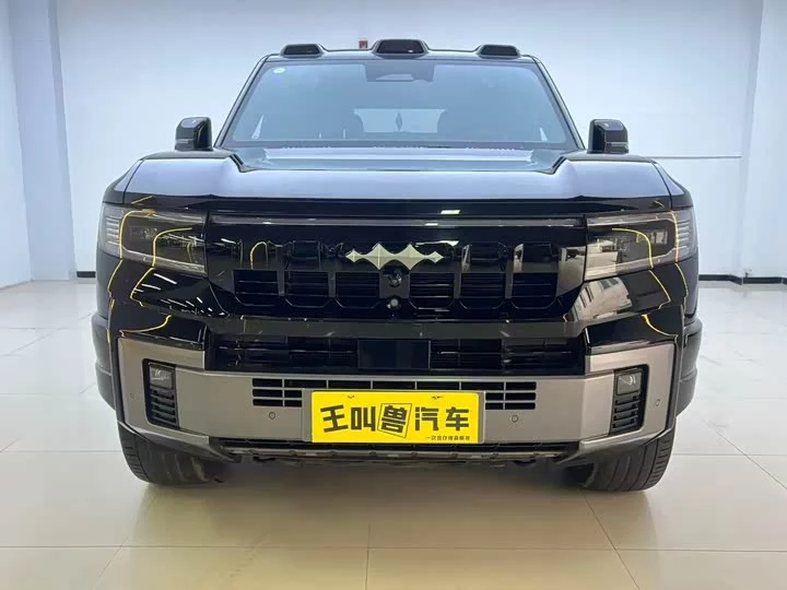 BYD Leopard Leopard 8