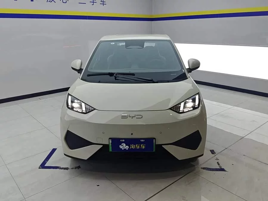 BYD Seagull