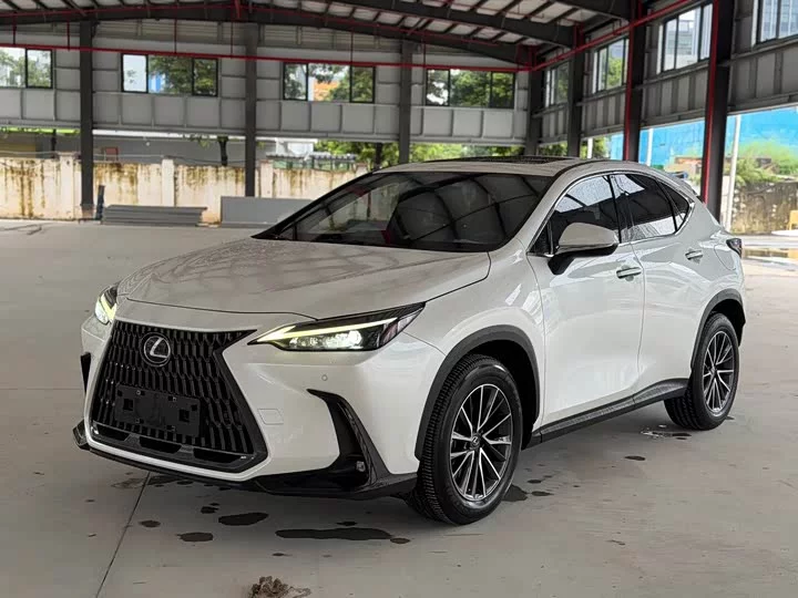 Lexus NX New Energy