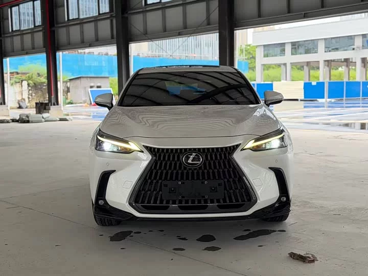Lexus NX New Energy