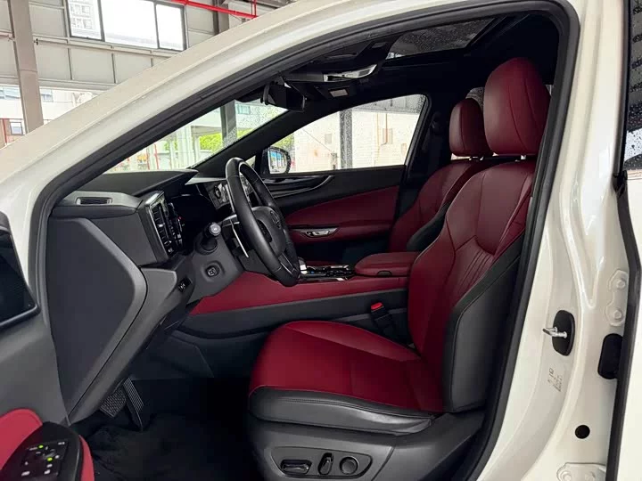 Lexus NX New Energy