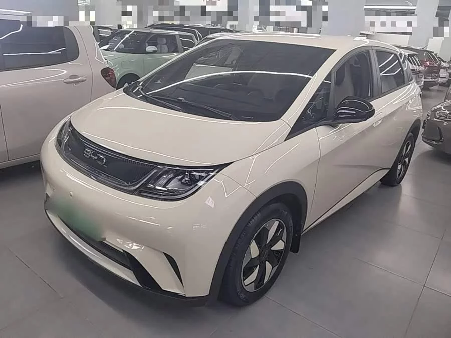 BYD Dolphin