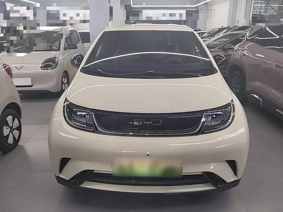 BYD Dolphin