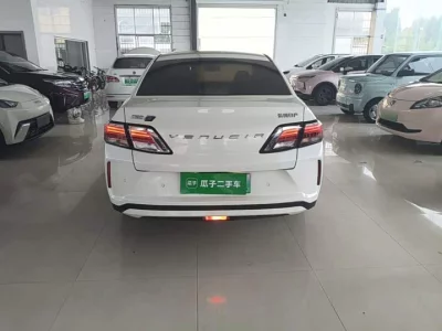 Venucia D60EV