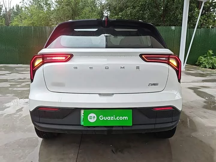 Geely E firefly