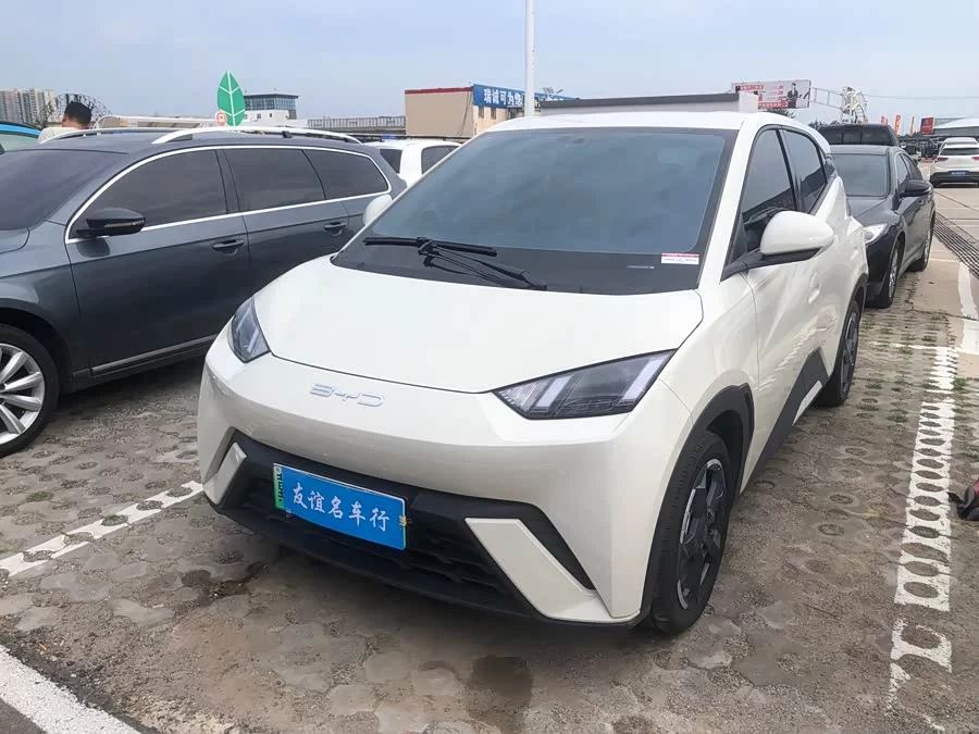 BYD Seagull