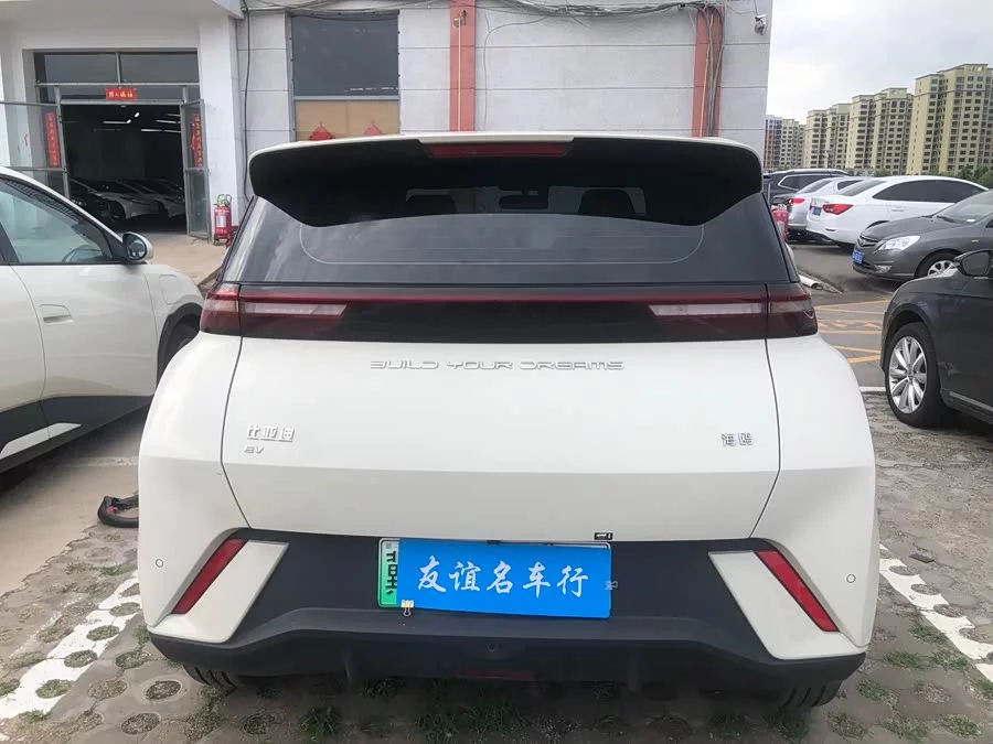 BYD Seagull