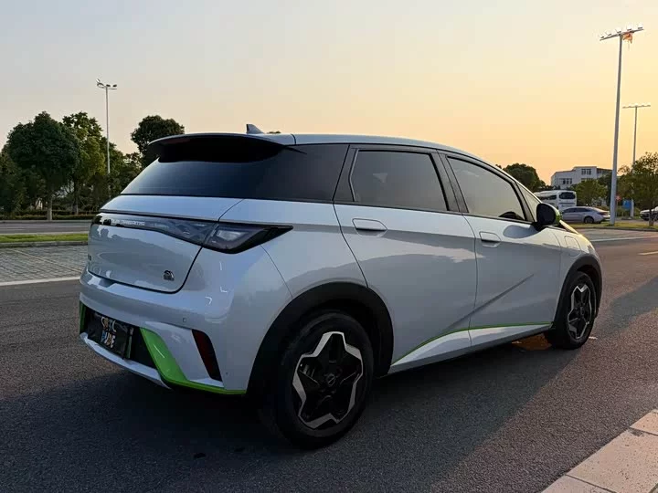 BYD dolphin