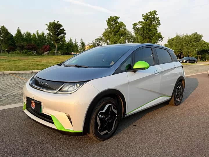 BYD dolphin