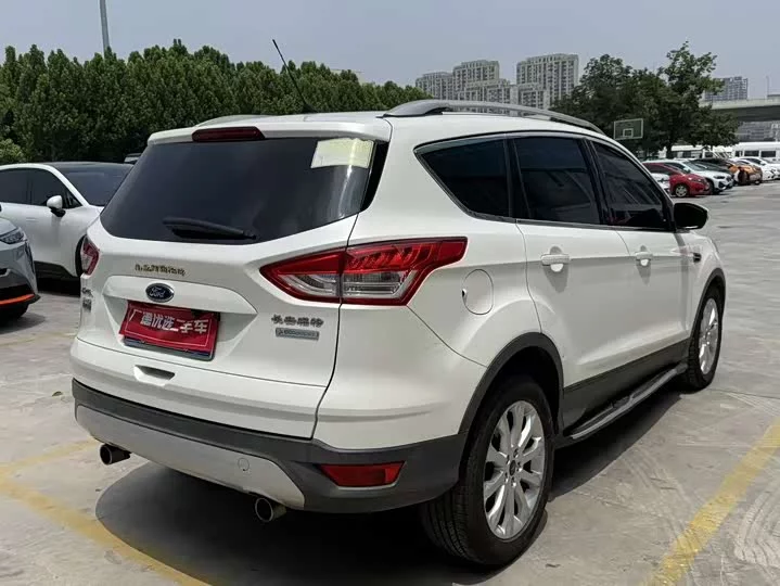 Ford wing tiger