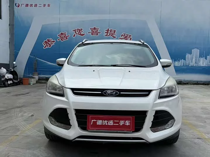 Ford wing tiger