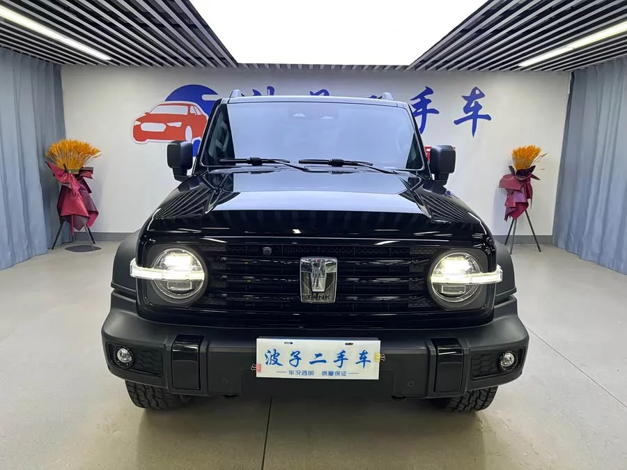 TANK 300