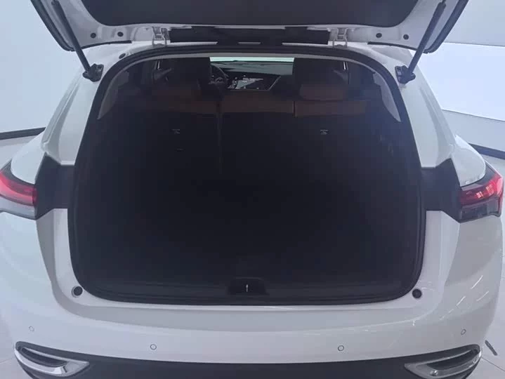 Buick Envision S