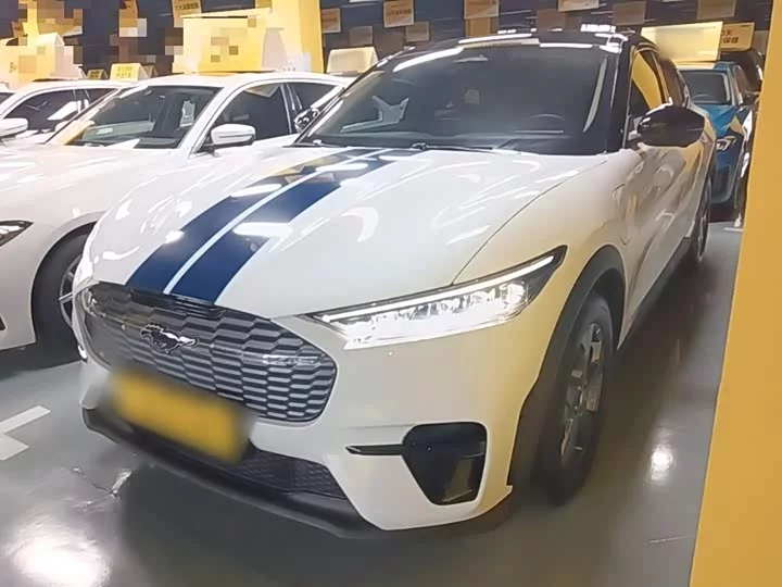 Ford electric horse