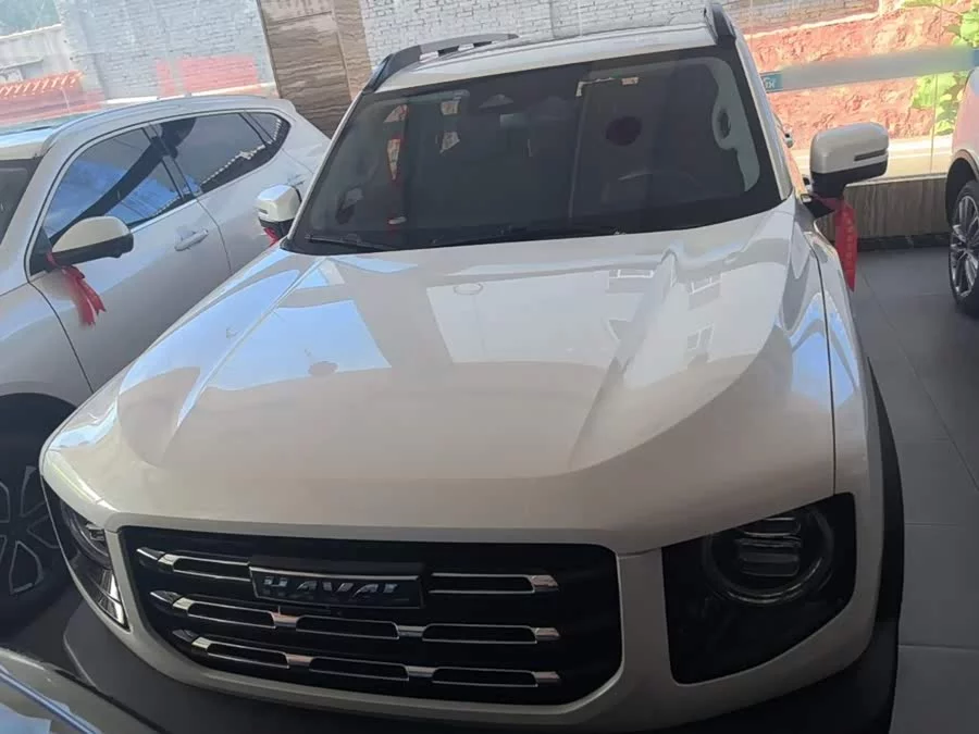 Haval Big Dog DaGou