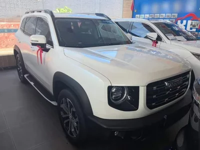 Haval Big Dog DaGou