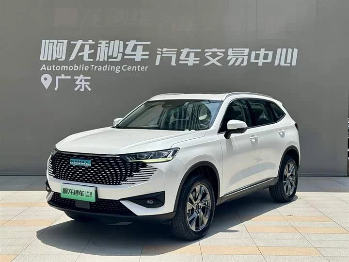 Haval H6 new energy