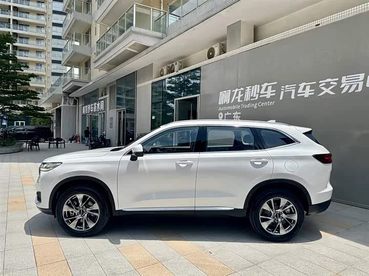 Haval H6 new energy