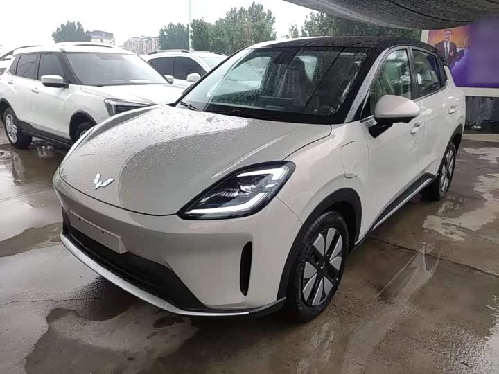 Wuling Bingo S