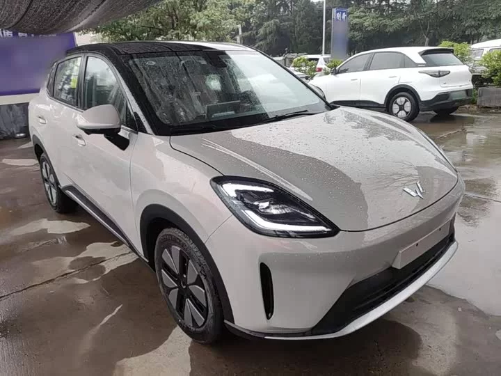 Wuling Bingo S