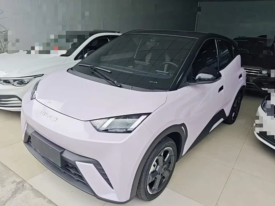BYD Seagull