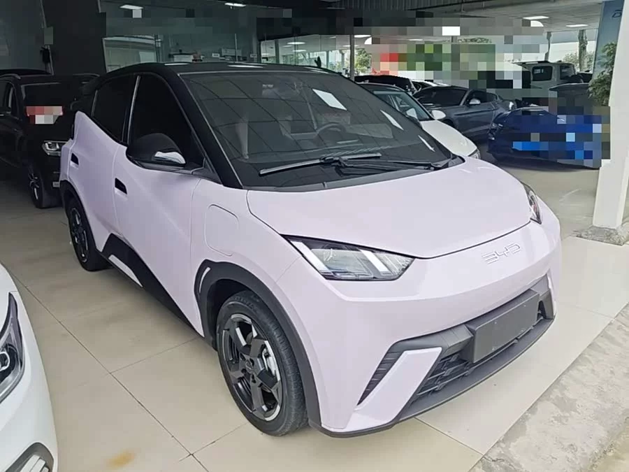 BYD Seagull