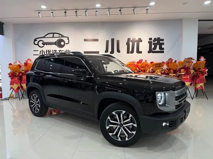 Haval Big Dog DaGou