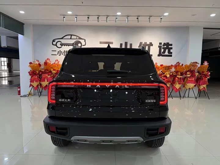 Haval Big Dog DaGou