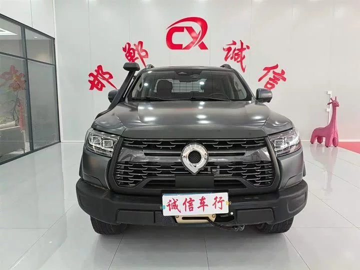 Great Wall gun