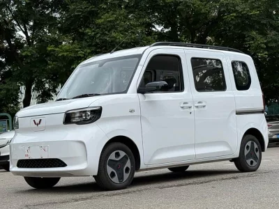 Wuling Zhiguang New Energy