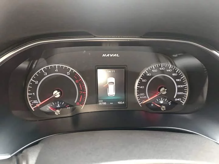 Haval H6
