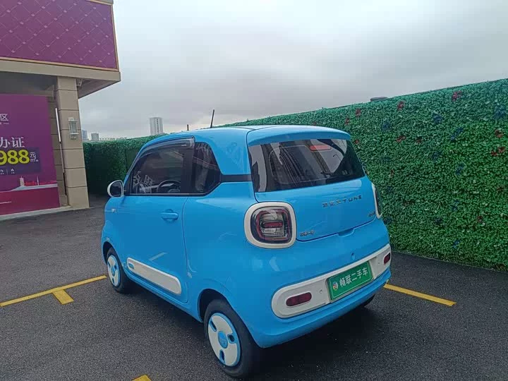 FAW pony