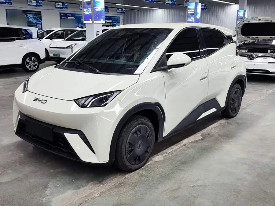 BYD Seagull