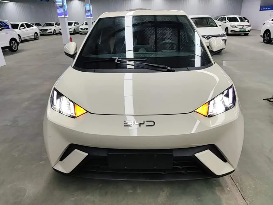 BYD Seagull