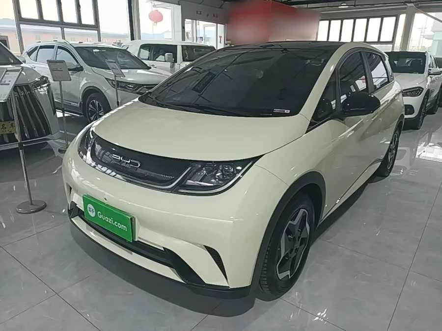 BYD Dolphin