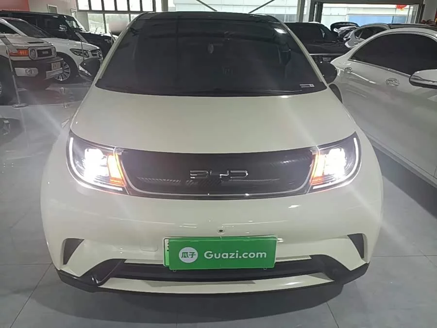 BYD Dolphin
